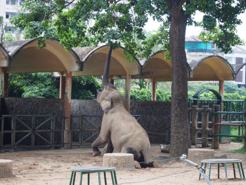 サイゴン動植物園（Thảo Cầm Viên Sài Gòn）