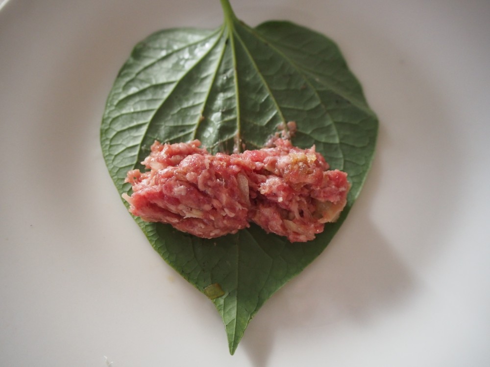 【レシピ付】牛肉ミンチの香草巻き“ボーラーロット”を作ろう♪ ※大葉でも代用可