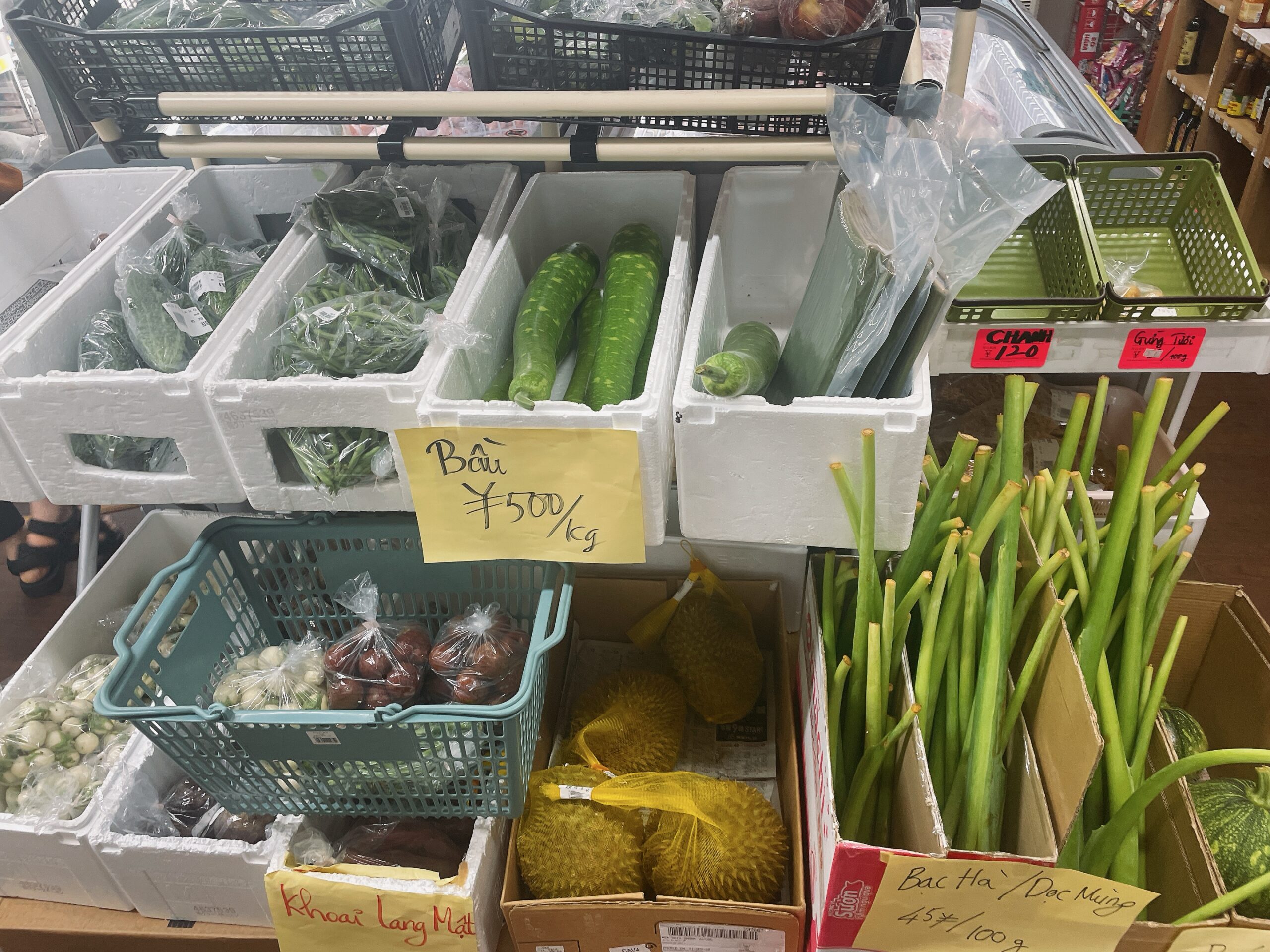 【愛知県西尾市】安くて青果の品揃えがいいベトナム食材店「VIETFOOD NISHIO」